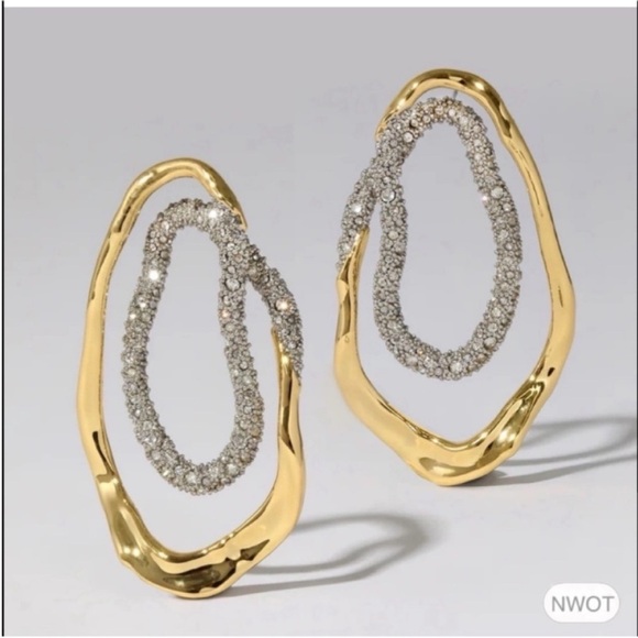 ALEXIS BITTAR • Solanales Organic double hoop loop Post Drop Earrings - Picture 3 of 9